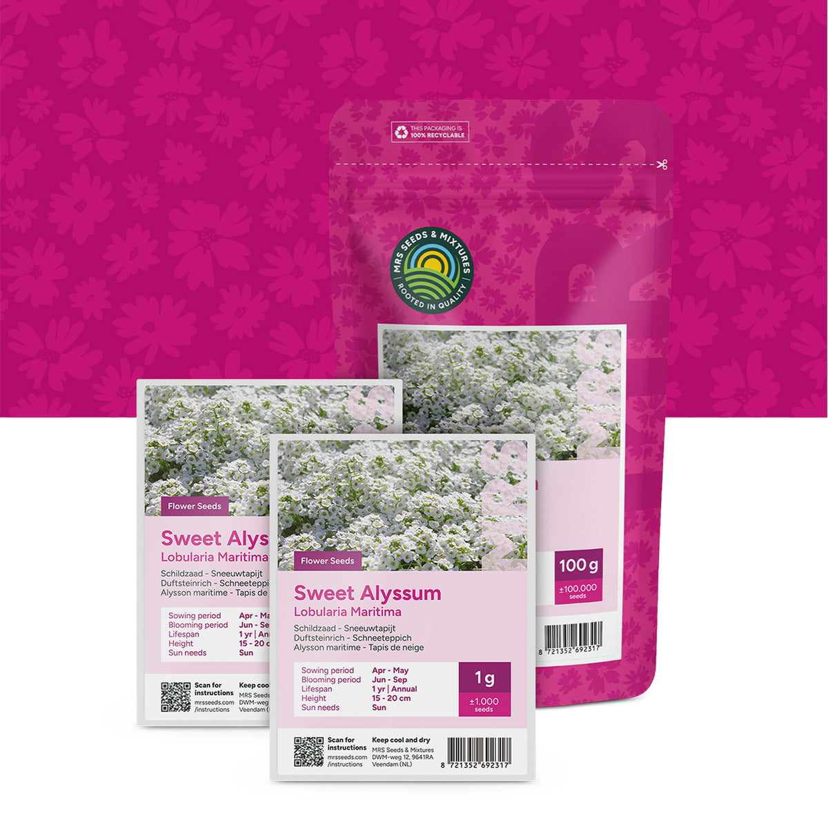 Alyssum ‘Tapis de neige’ – Alyssum lobularia