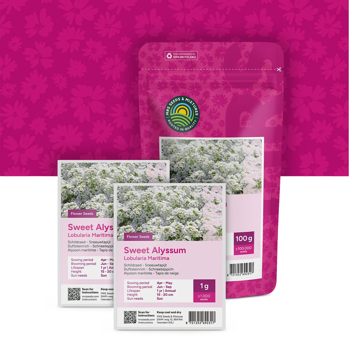 Alyssum ‘Tapis de neige’ – Alyssum lobularia