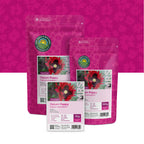 Pavot somnifère – Papaver Somniferum