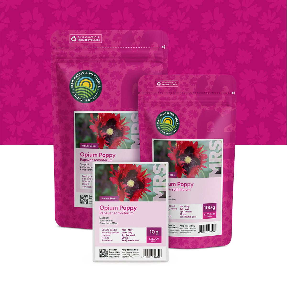 Pavot somnifère – Papaver Somniferum
