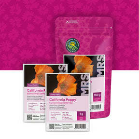 Pavot de Californie mixte – Eschscholzia californica