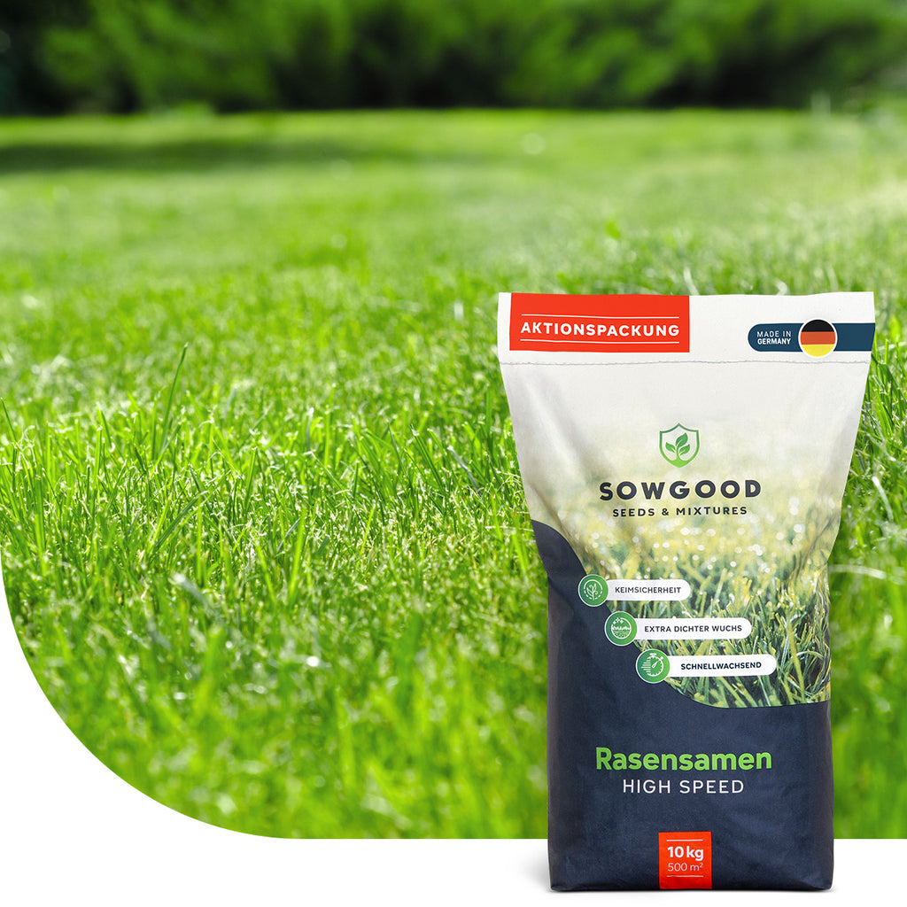 Berliner Tiergarten - Pelouse polyvalente