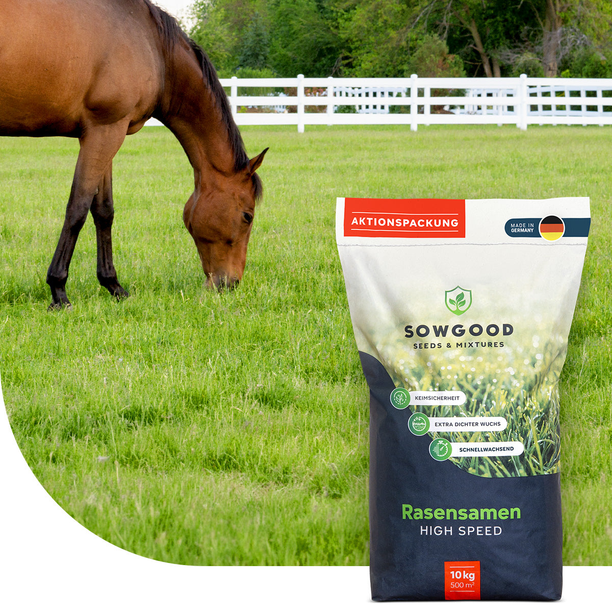 Pâturage à cheval - Universel