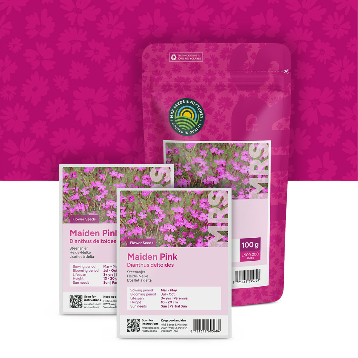 Œillet à delta – Dianthus deltoides