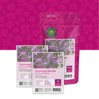 Verveine de Buenos Aires – Verbena Bonariensis