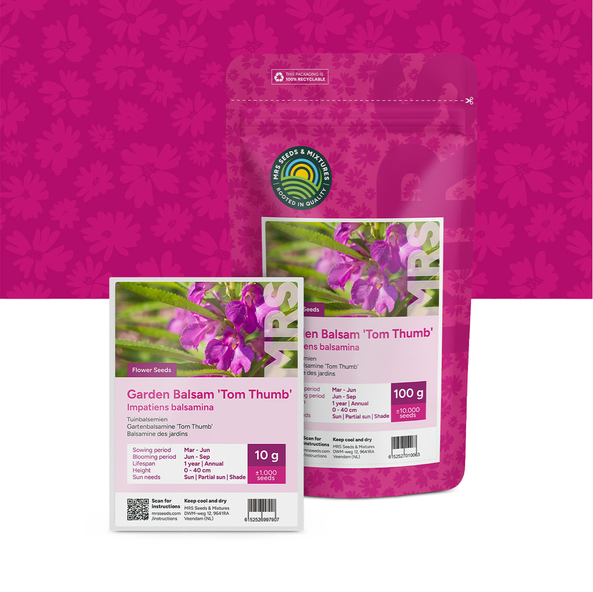 Balsamine des jardins – Impatiens balsamina
