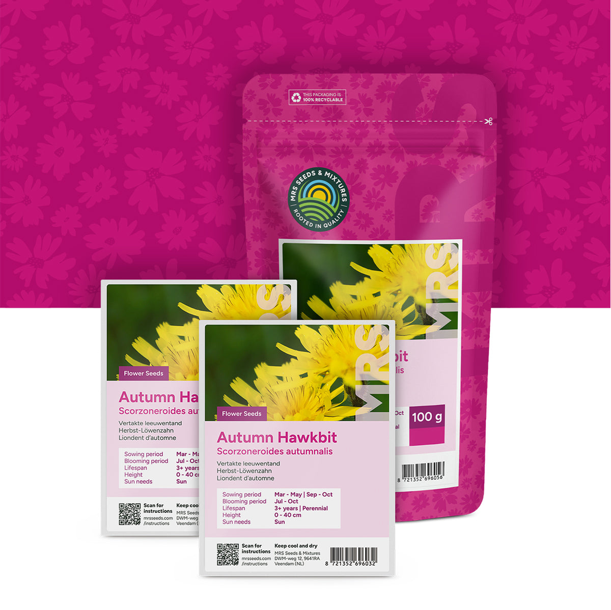 Liondent d’automne – Scorzoneroides autumnalis