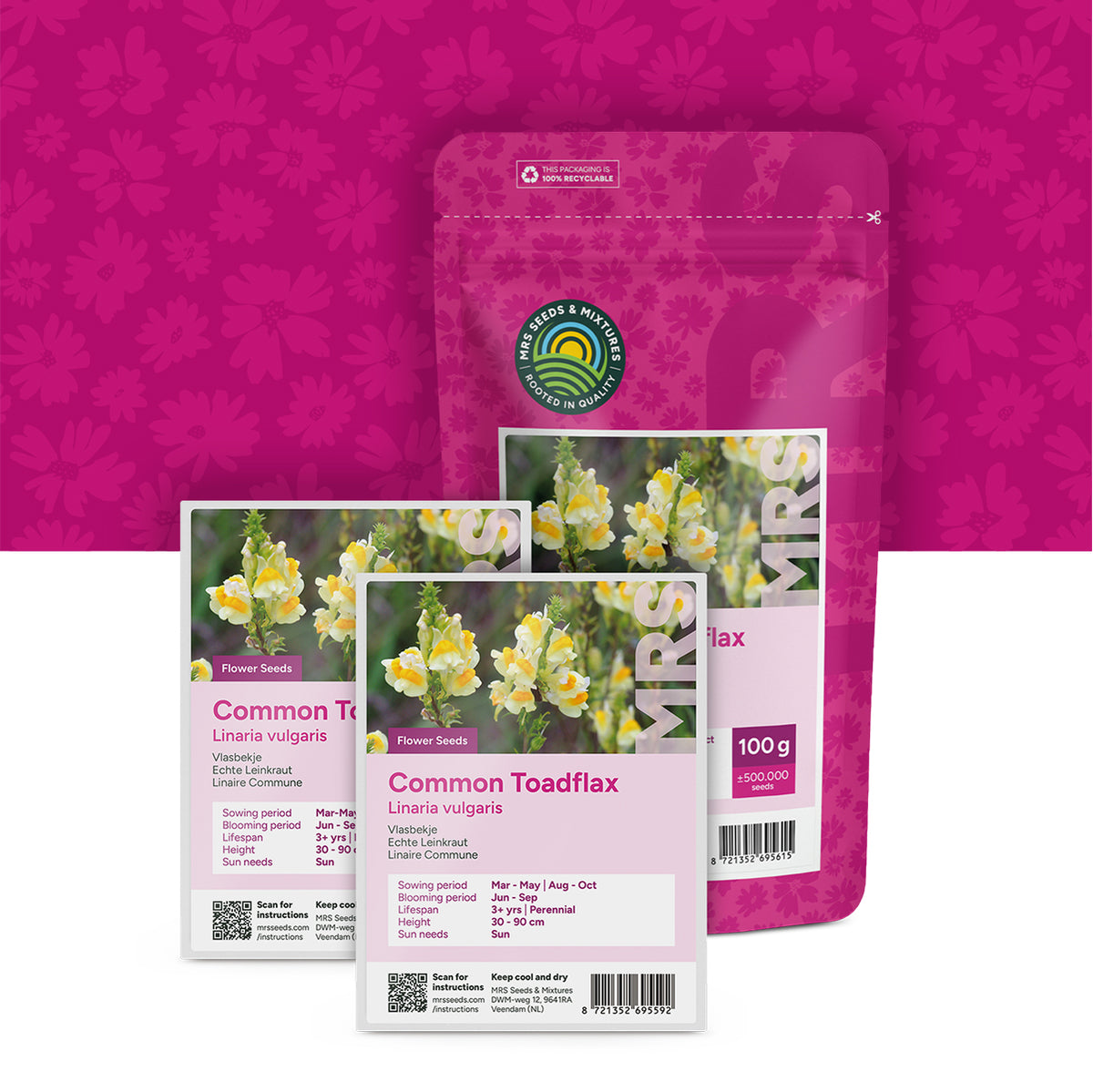 Linaire commune – Linaria vulgaris