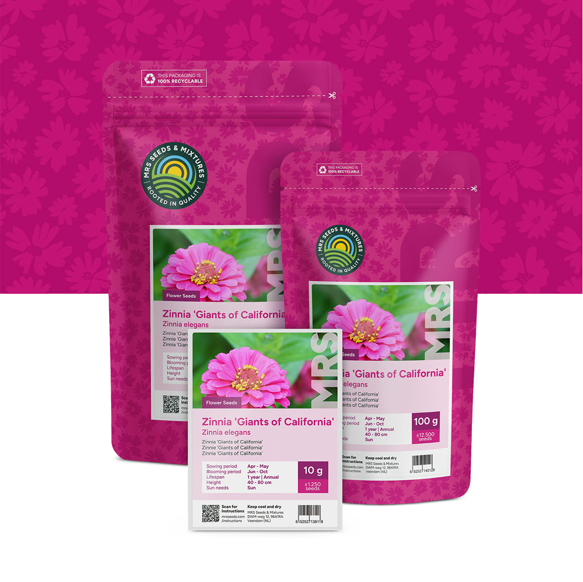 Zinnia ' Giants of California'