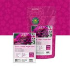 Zinnia elegans-Lilliput Purple Gem