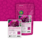 Zinnia elegans-Lilliput Purple Gem