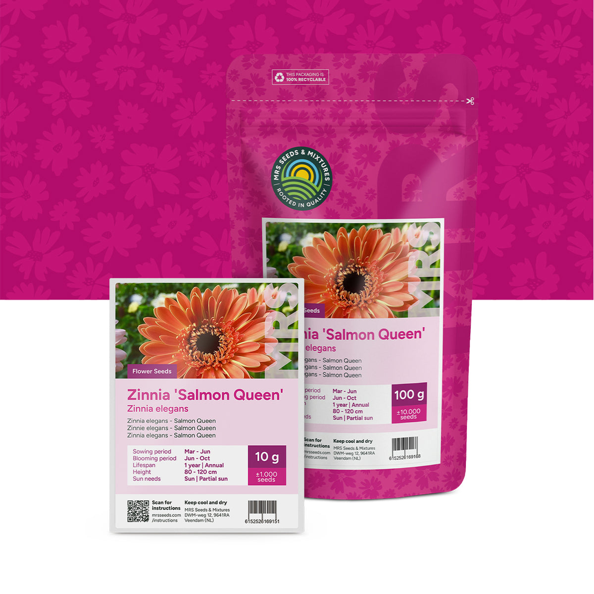 Zinnia elegans-Salmon Queen