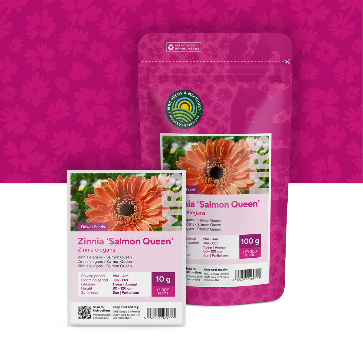 Zinnia elegans-Salmon Queen