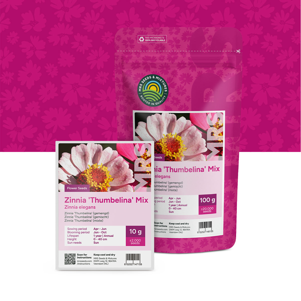 Zinnia Elegans 'Thumbelina' (mixte)