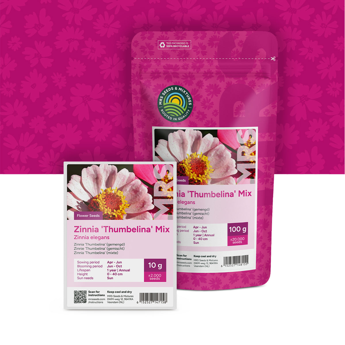 Zinnia Elegans 'Thumbelina' (mixte)