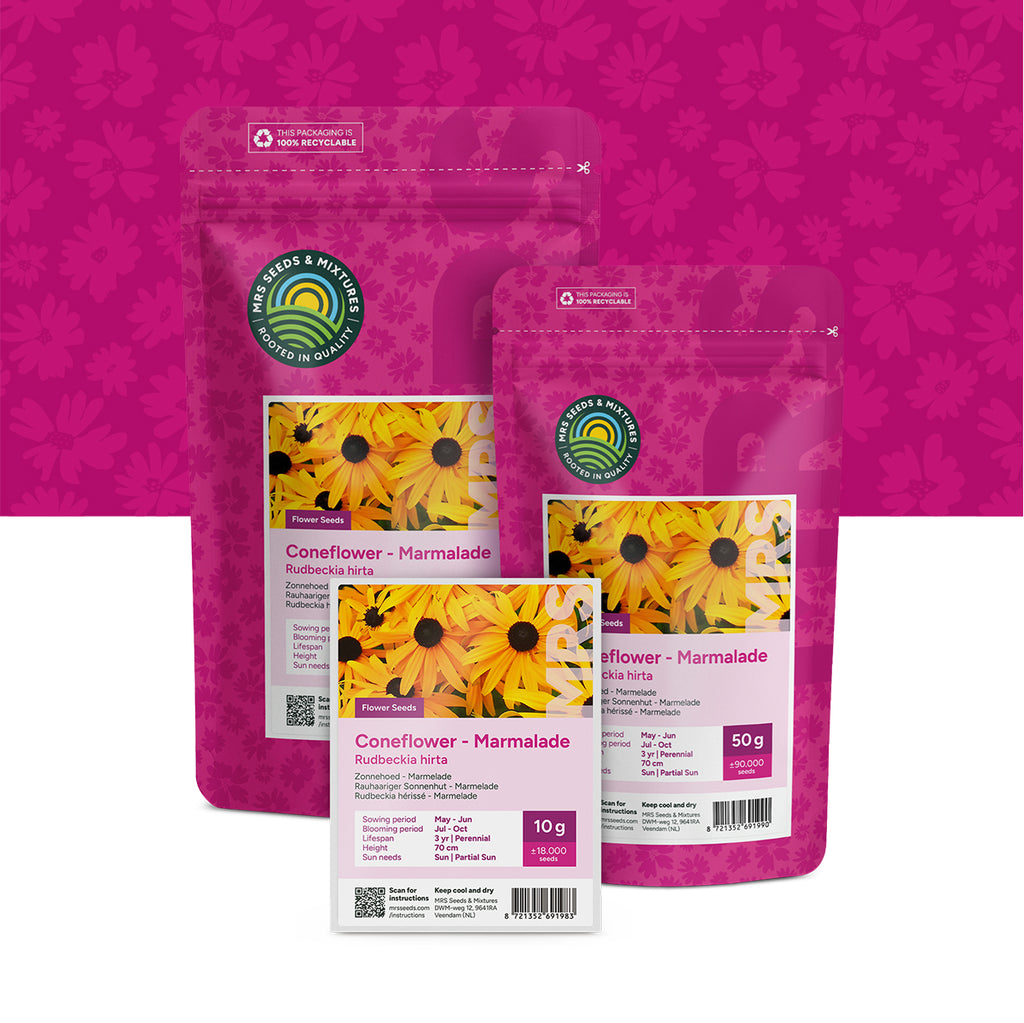 Echinacea 'Marmelade' – Rudbeckia hirta