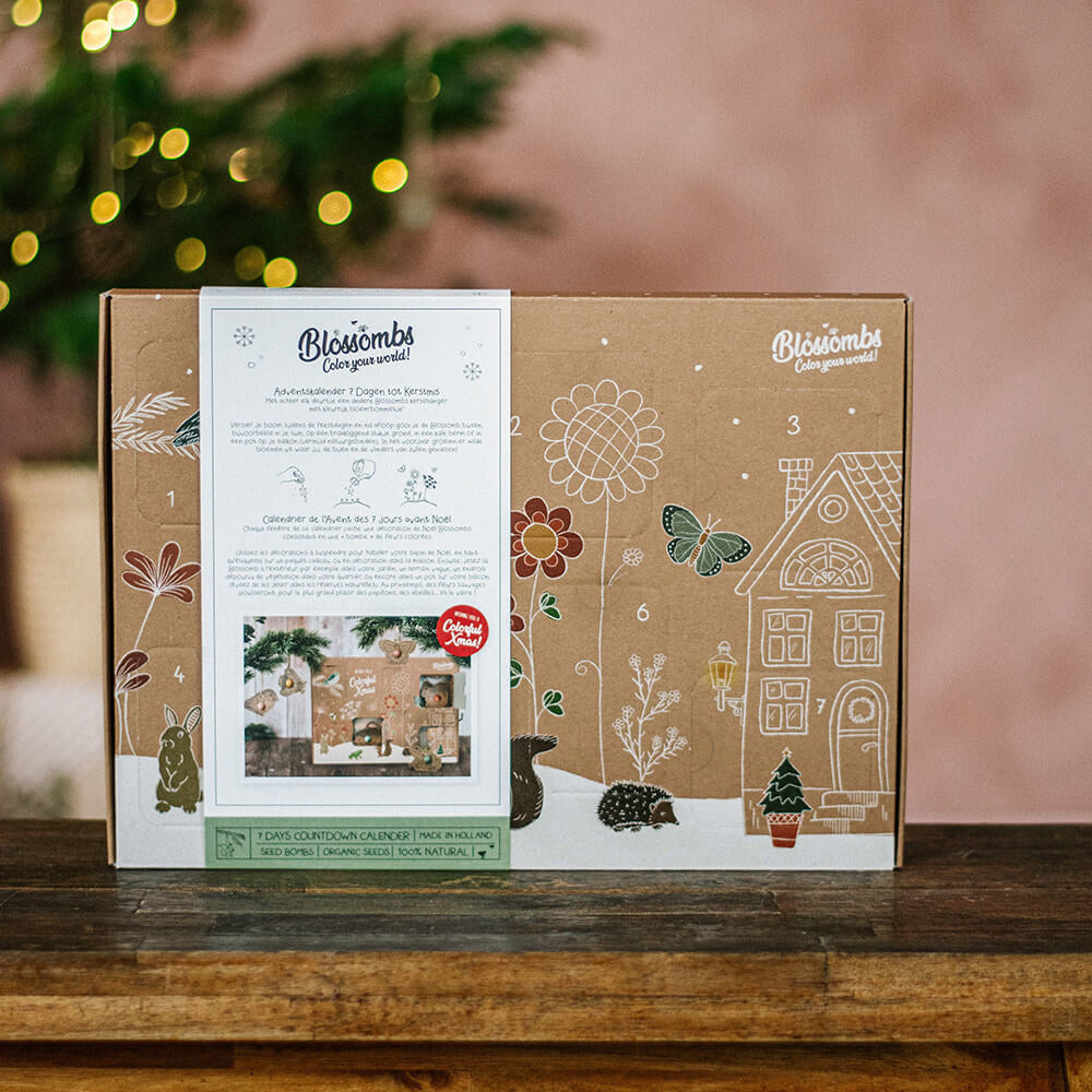 Blossombs Calendrier de l'Avent - Noël [fr]