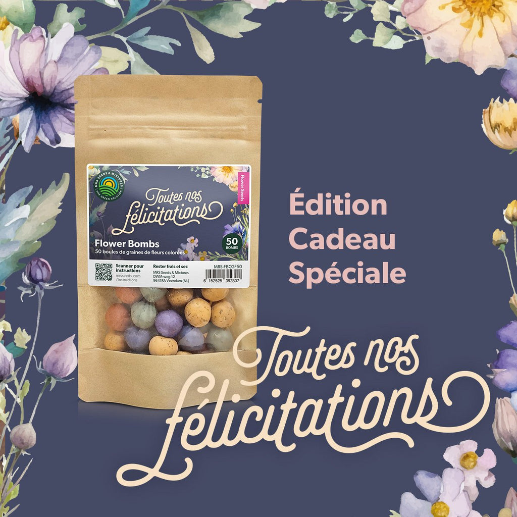 MRS Seeds & Mixtures Flower Bombs - Bombes de graines mix - Félicitations ! [fr]