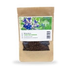 MRS Seeds & Mixtures Anchusa - Anchusa Capensis 'Dawn' [fr]