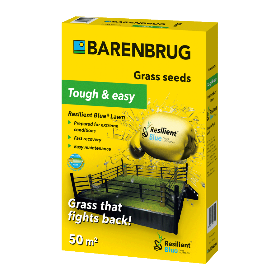 Barenbrug Resilient Blue®  Lawn - Pelouse de jeu [fr]