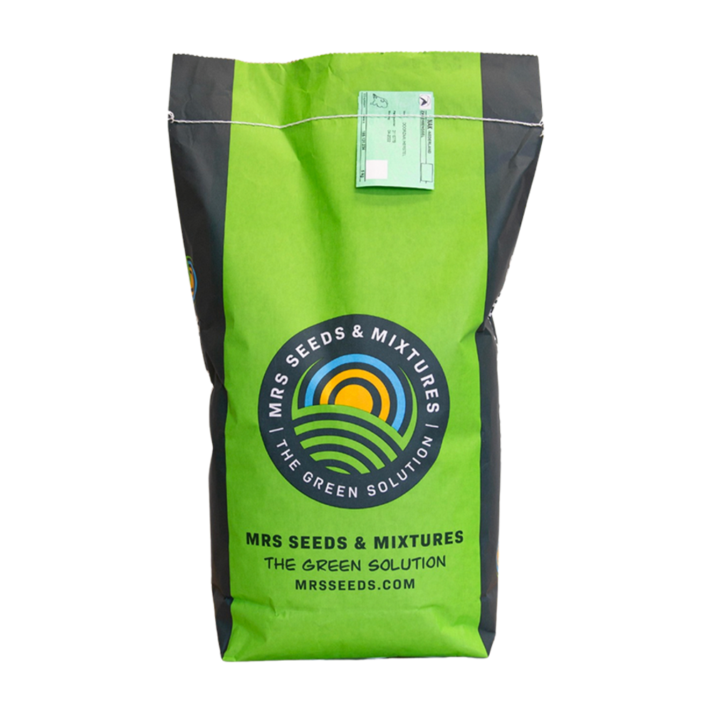 MRS Seeds & Mixtures Wiesen-Rispengras - Poa pratensis [de]