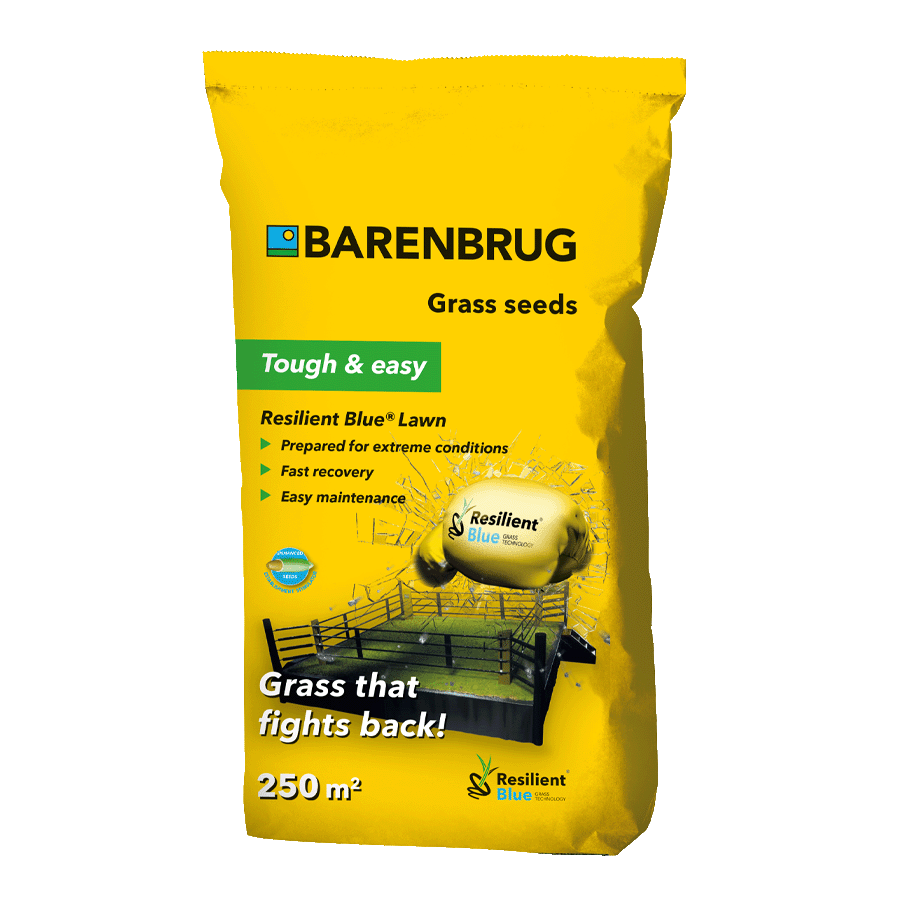 Barenbrug Resilient Blue®  Lawn - Pelouse de jeu [fr]