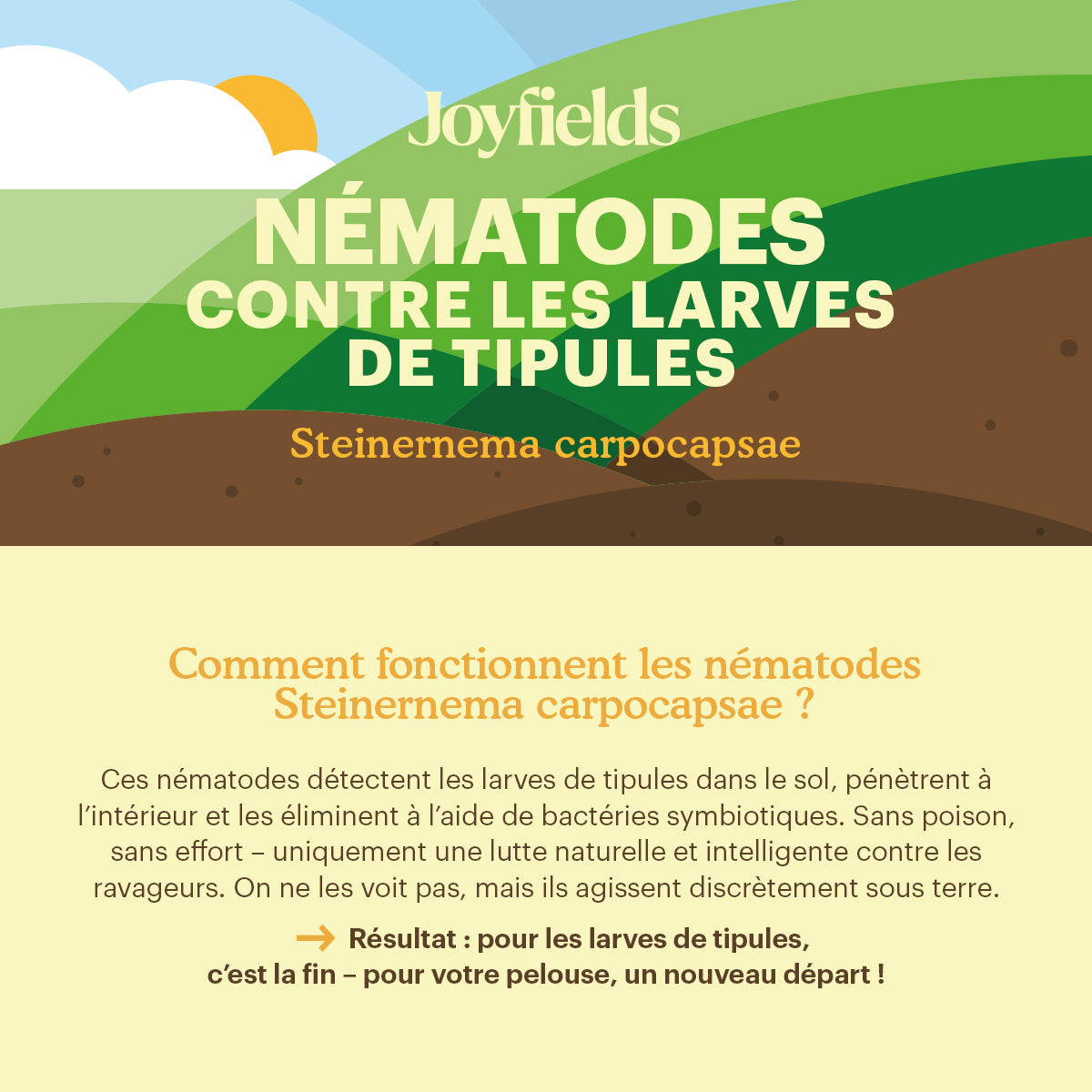 Joyfields nematodes contre les larves de tipules (Steinernema carpocapsae) [fr]