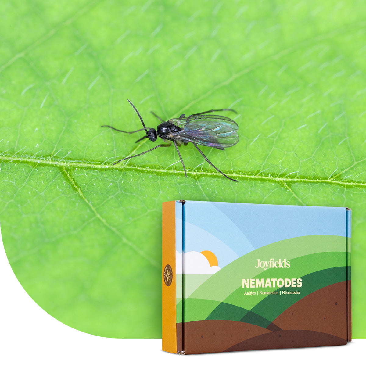 Joyfields Aaltjes tegen rouwvliegjes (Steinernema feltiae)