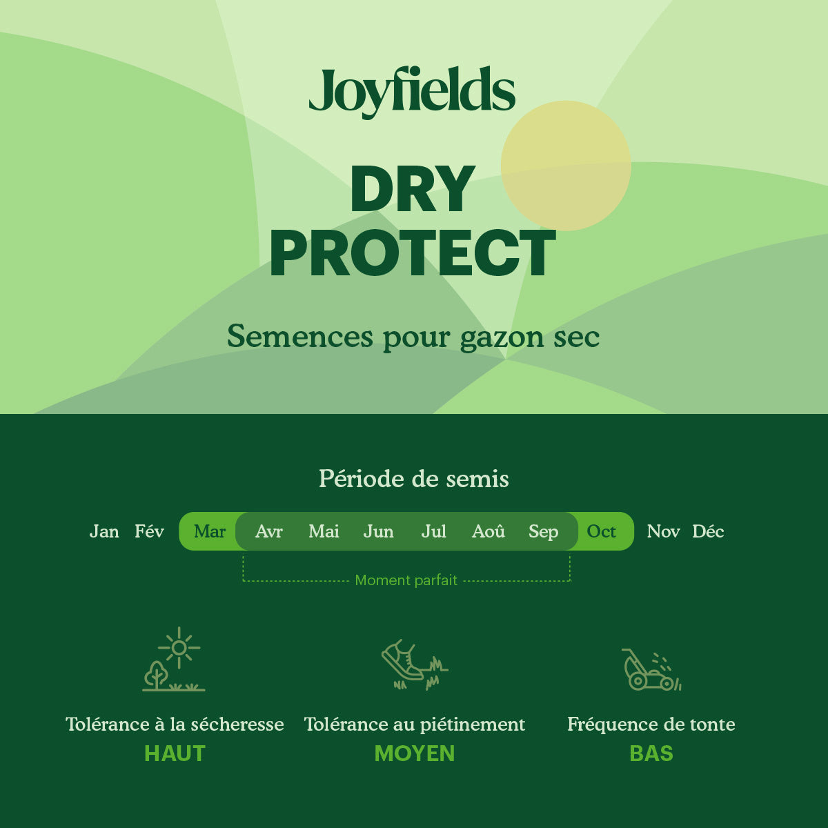 Joyfields Dry Protect - Semence gazon terrain sec [fr]