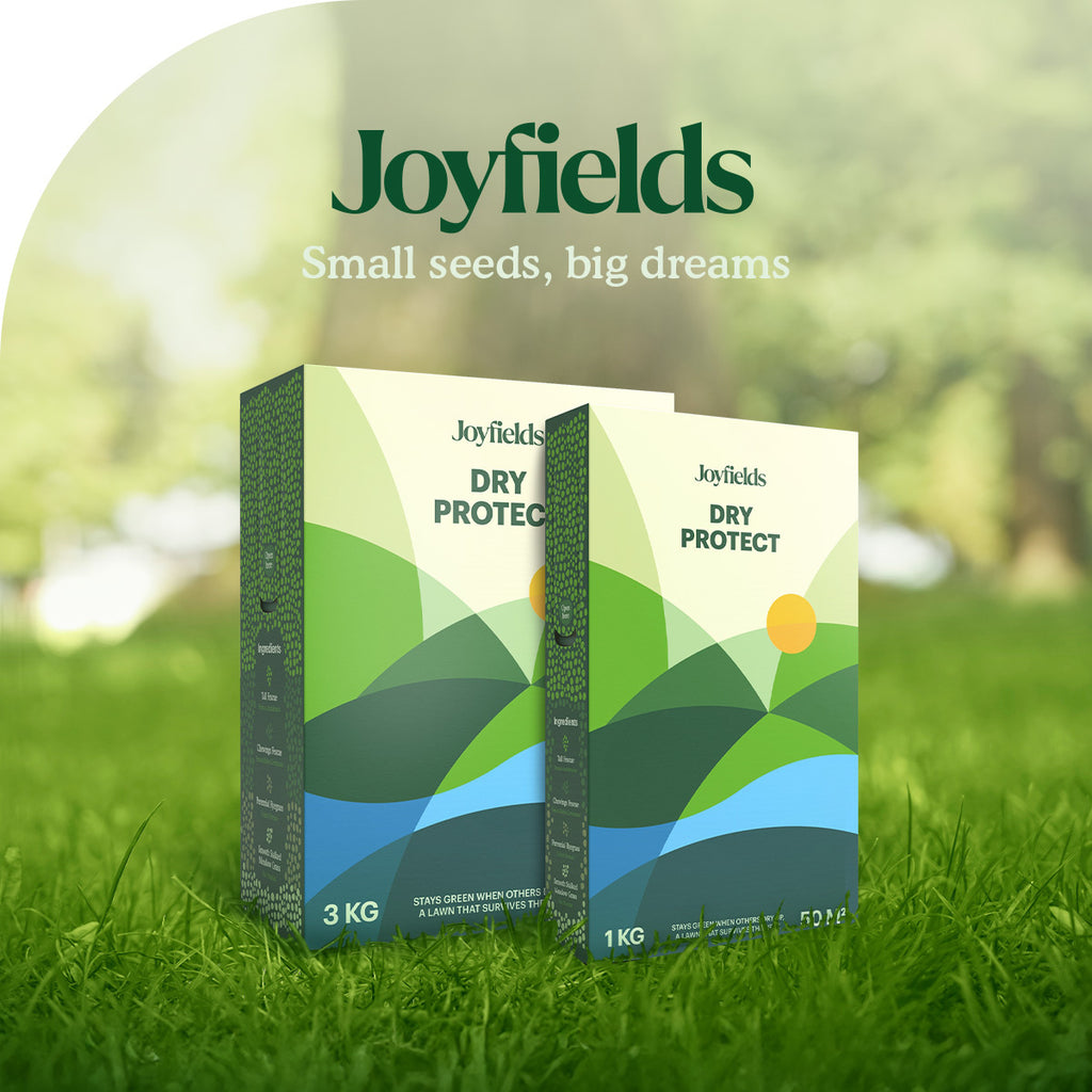 Joyfields Dry Protect - Semence gazon terrain sec [fr]