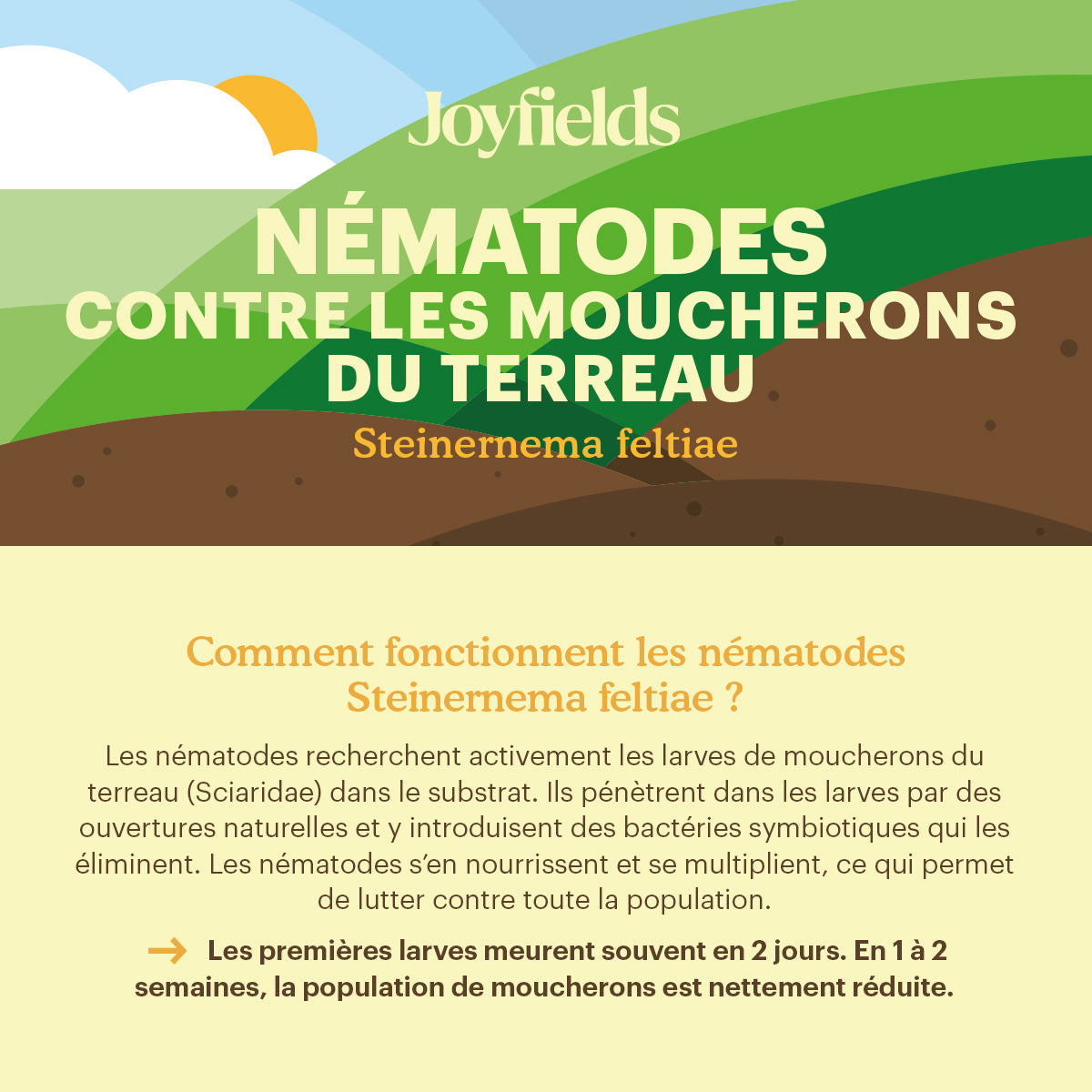 Joyfields Nematodes contre les moucherons du terreau (Steinernema feltiae) [fr]