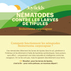 Joyfields Nématodes contre les larves de tipules (Heterorhabditis bacteriophora) [fr]