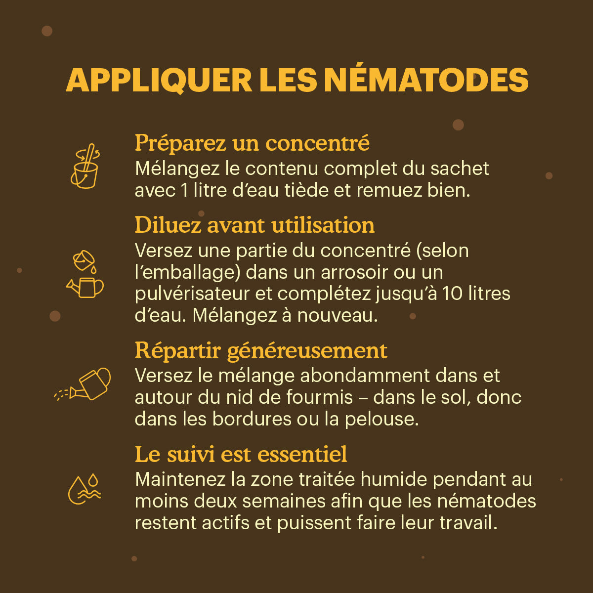 Joyfields Nématodes contre les larves de tipules (Heterorhabditis bacteriophora) [fr]