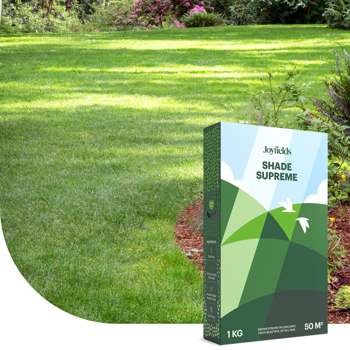 Semences Gazon MOOWY Shade & Sun 100 M² – Pousse Ombre ET Soleil, Revêtement Germination +38 %, Vert Foncé Luxe Toute L'Année