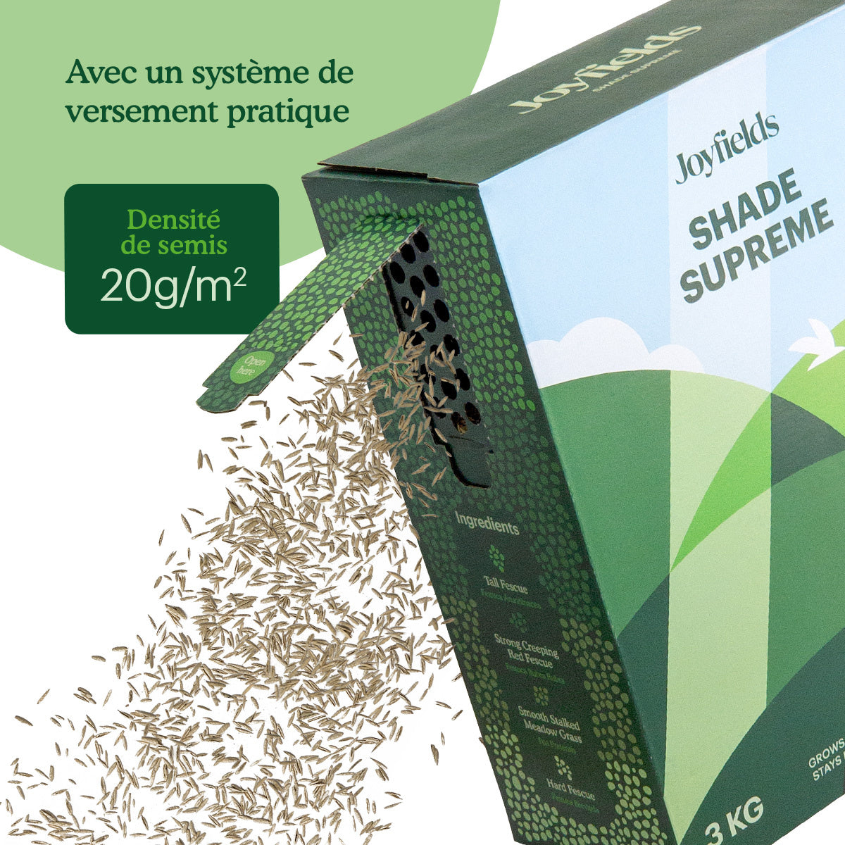 Semences Gazon Ombre Shade & Sun 2 Kg - 100 M² | Gazon Résistant à L'Ombre, Anti-Mousse Et Robuste