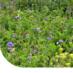 Lord Noords Wildakkermengsel