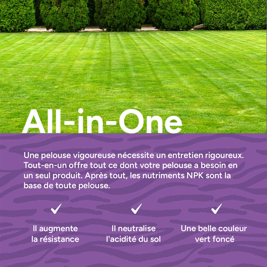 MRS Seeds & Mixtures All-in-One - Engrais pour gazon avec chaux | 20 kg - 500 m² [fr]