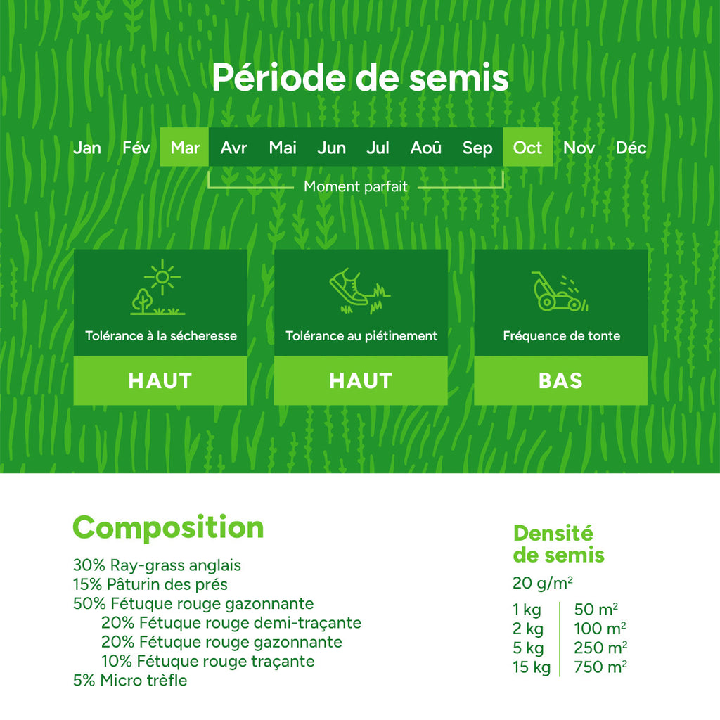 MRS Seeds & Mixtures Clover Lawn - Semences de gazon avec micro-trèfle [fr]