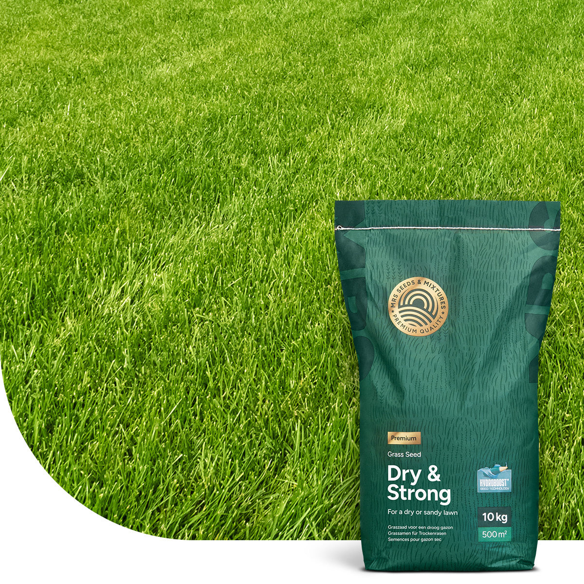 MRS Seeds & Mixtures Dry & Strong Premium - Droogtebestendig graszaad 10 kg - 500 m²