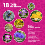 MRS Seeds & Mixtures Flower Bombs - Bombes de graines mix - Félicitations ! [fr]