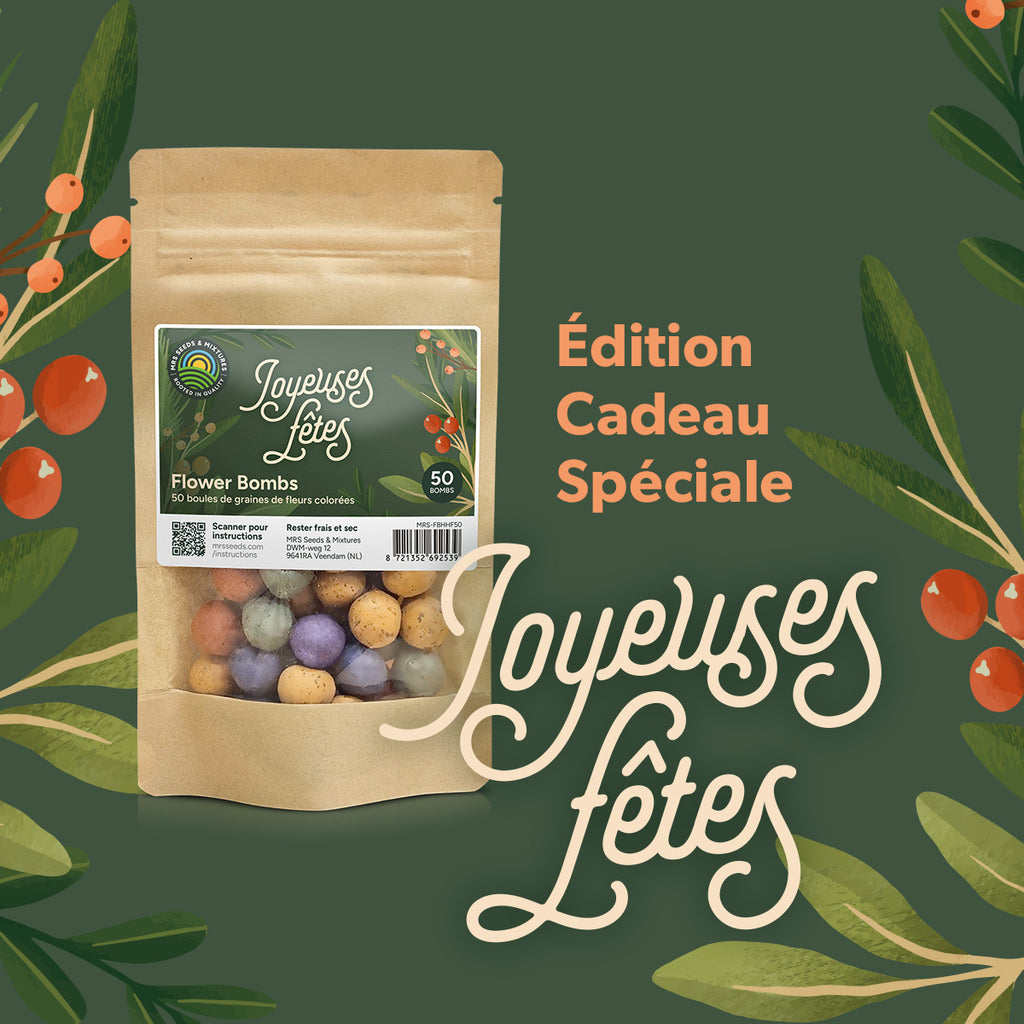 MRS Seeds & Mixtures Flower Bombs - Bombes de graines mix - Joyeuses fêtes ! [fr]