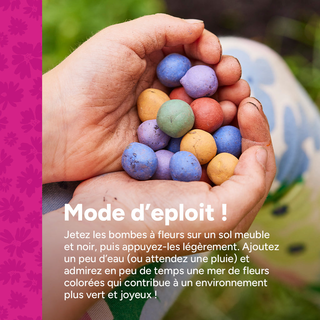 MRS Seeds & Mixtures Flower Bombs - Bombes de graines mix - Joyeuses fêtes ! [fr]