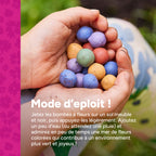 MRS Seeds & Mixtures Flower Bombs - Bombes de graines mix - Joyeuses fêtes ! [fr]