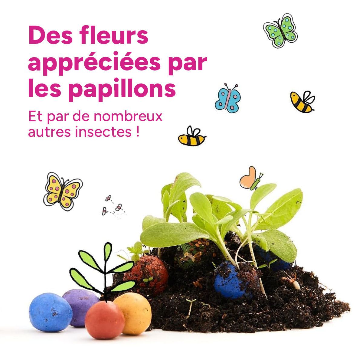 MRS Seeds & Mixtures Flower Bombs - Bombes de graines mix - Joyeuses fêtes ! [fr]