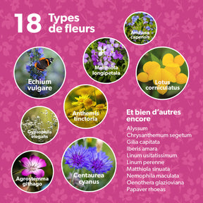 MRS Seeds & Mixtures Flower Bombs - Bombes de graines mix - Originals [fr]