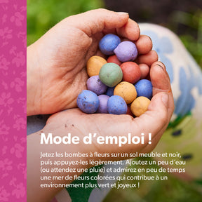 MRS Seeds & Mixtures Flower Bombs - Bombes de graines mix - Originals [fr]