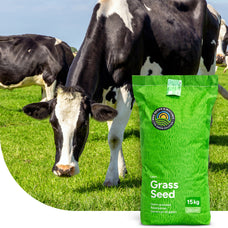Graze – BG3 | Mélange prairie longue durée