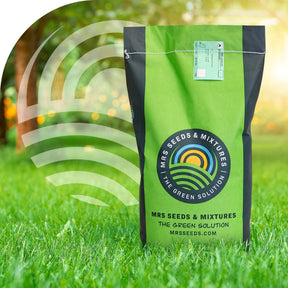 MRS Seeds & Mixtures Graze - BG4 | Mélange prairie longue durée 15KG [fr]