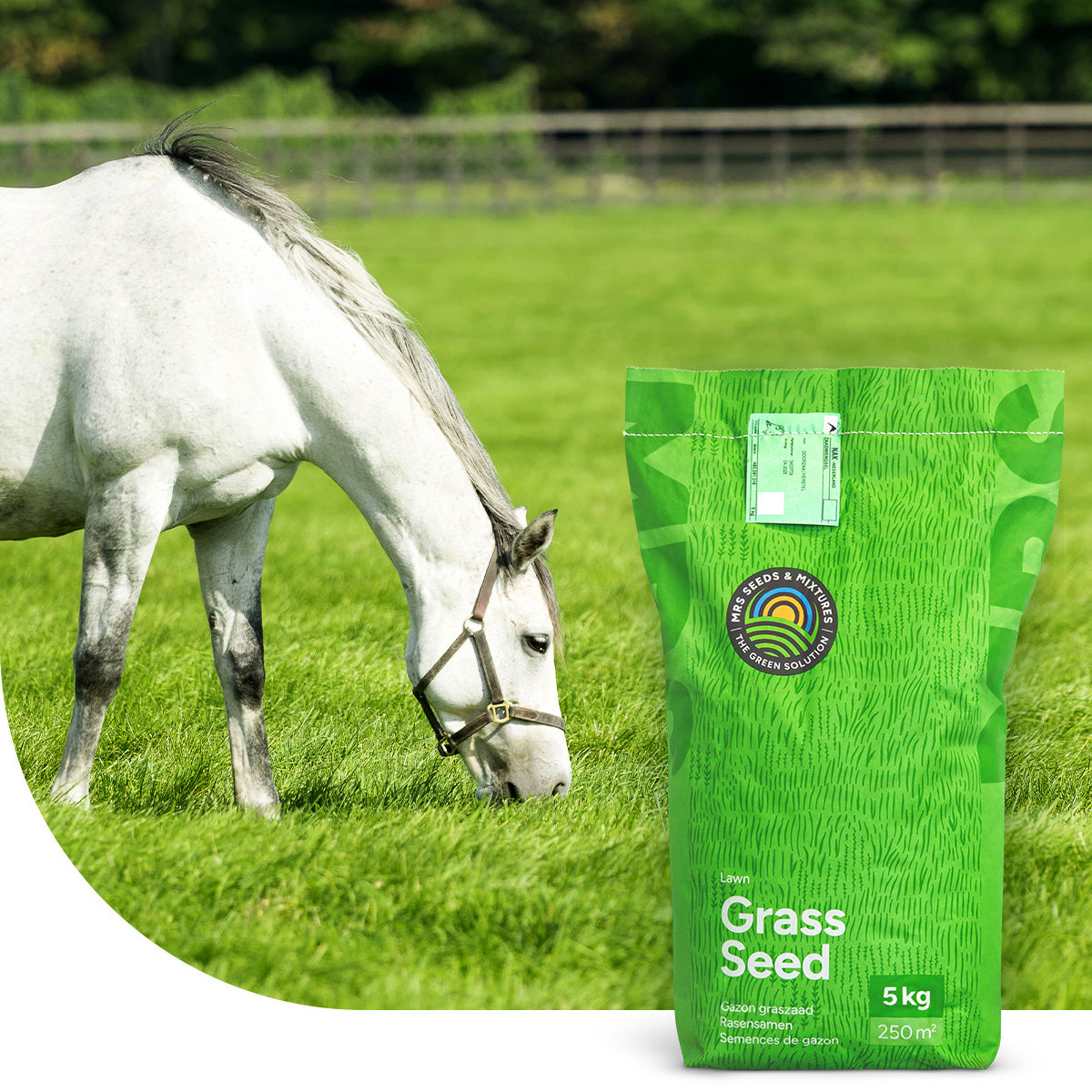 MRS Seeds & Mixtures Horse - Elite mix | Paardenweide Universeel