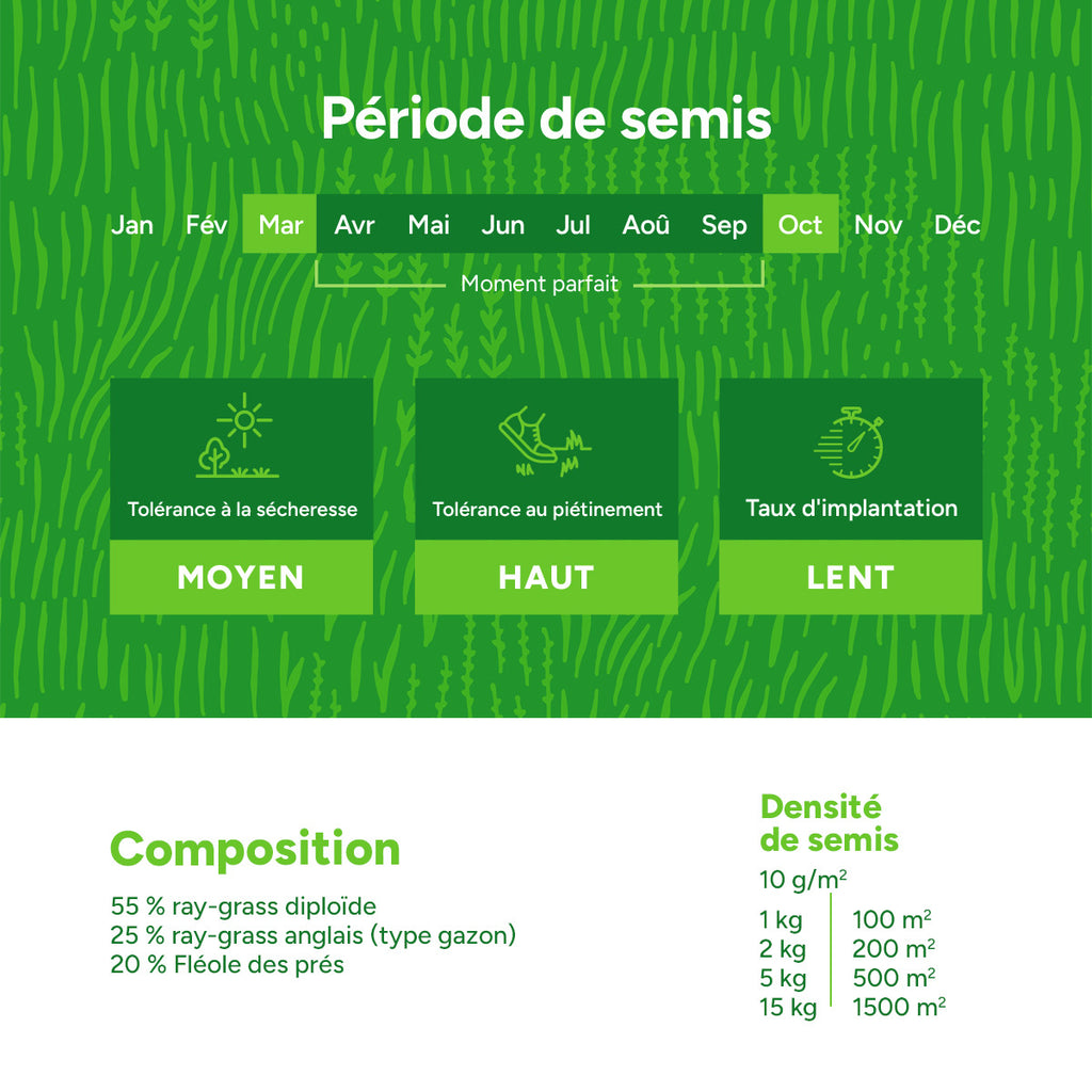 MRS Seeds & Mixtures Horse - Recovery mix | Pâturage de chevaux pour sursemé [fr]